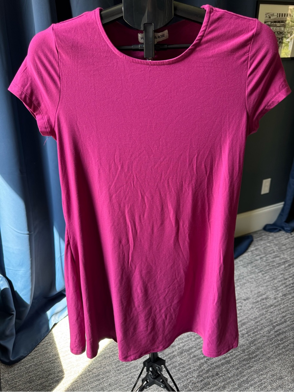 Harlow & Rose Berry Pink Short Sleeve A Line Mini Dress Size Small